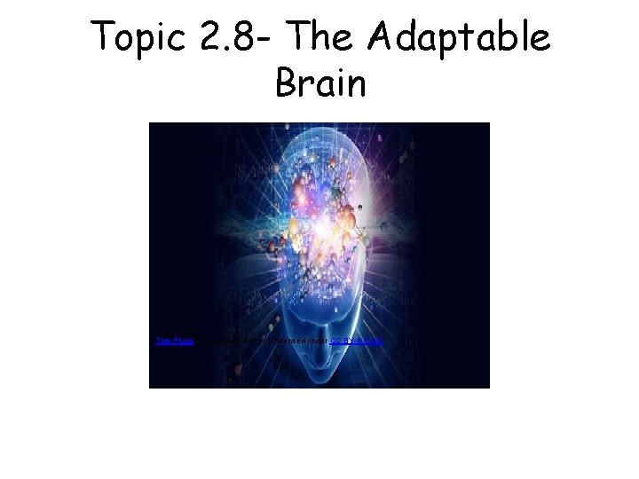 Topic 2. 8 - The Adaptable Brain This Photo by Unknown Author is licensed
