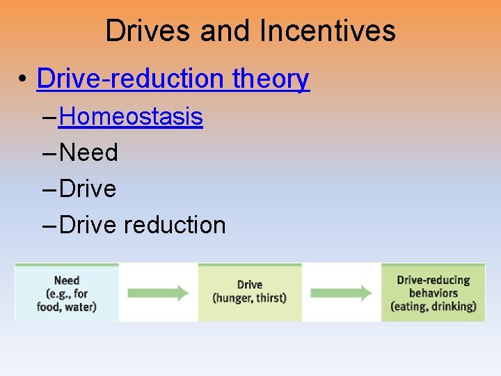 Drives and Incentives • Drive-reduction theory – Homeostasis – Need – Drive reduction 