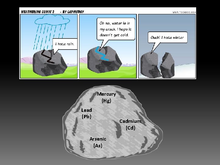 Mercury (Hg) Lead (Pb) Arsenic (As) Cadmium (Cd) 
