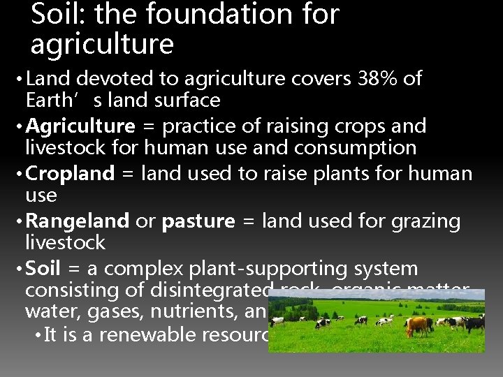 Soil: the foundation for agriculture • Land devoted to agriculture covers 38% of Earth’s
