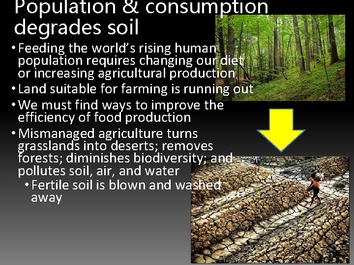 Population & consumption degrades soil • Feeding the world’s rising human population requires changing