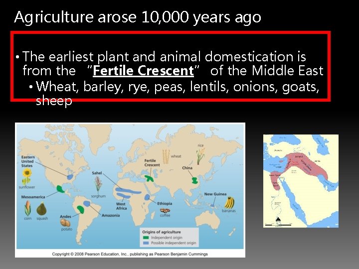 Agriculture arose 10, 000 years ago • Agriculture was invented independently by different cultures