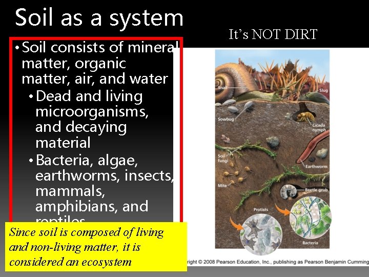 Soil as a system • Soil consists of mineral matter, organic matter, air, and