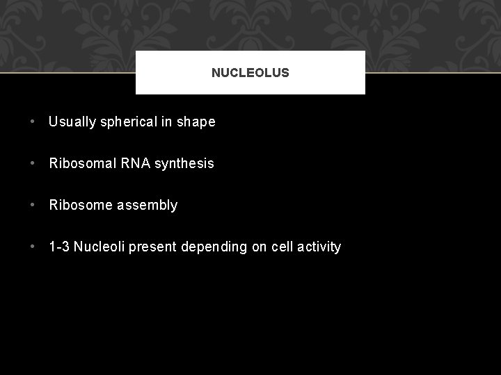 NUCLEOLUS • Usually spherical in shape • Ribosomal RNA synthesis • Ribosome assembly •