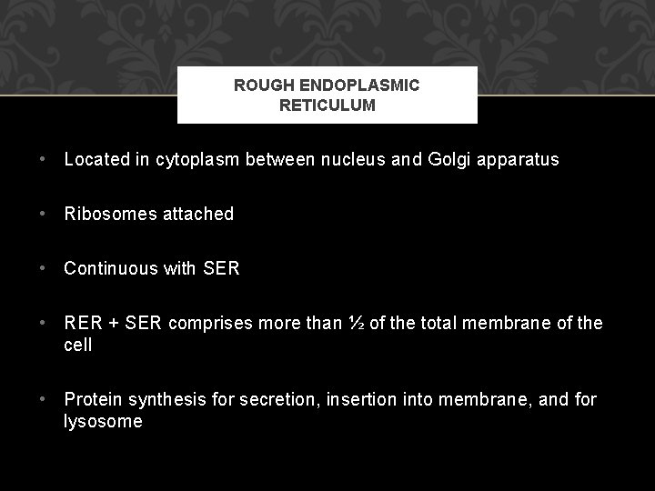 ROUGH ENDOPLASMIC RETICULUM • Located in cytoplasm between nucleus and Golgi apparatus • Ribosomes