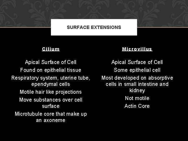 SURFACE EXTENSIONS Cilium Microvillus Apical Surface of Cell Found on epithelial tissue Apical Surface