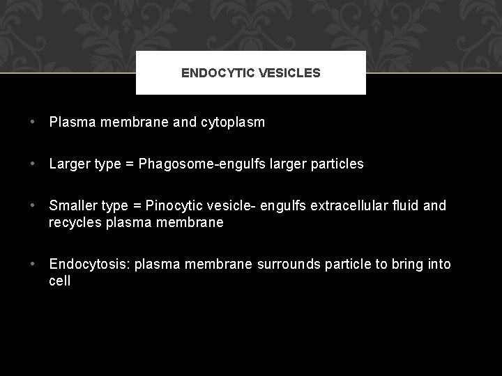 ENDOCYTIC VESICLES • Plasma membrane and cytoplasm • Larger type = Phagosome-engulfs larger particles