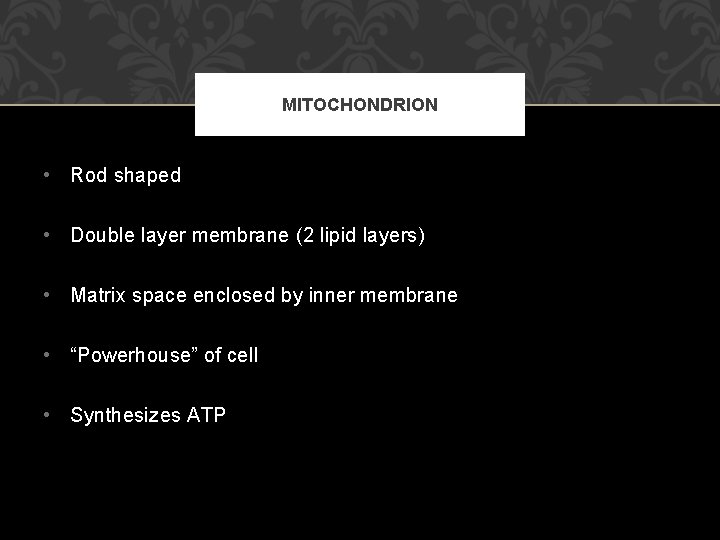 MITOCHONDRION • Rod shaped • Double layer membrane (2 lipid layers) • Matrix space