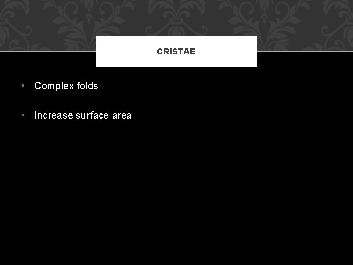 CRISTAE • Complex folds • Increase surface area 