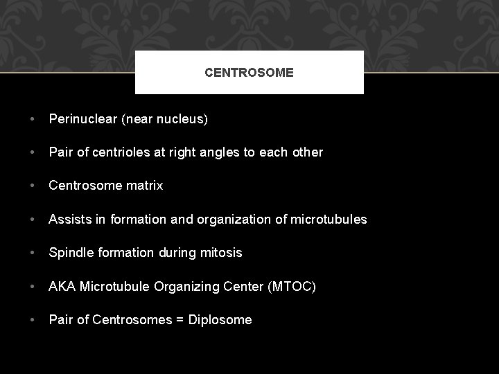 CENTROSOME • Perinuclear (near nucleus) • Pair of centrioles at right angles to each