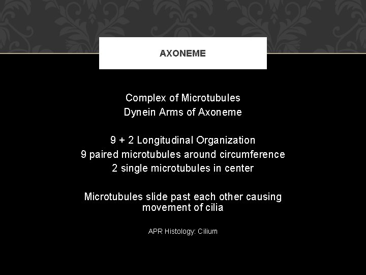 AXONEME Complex of Microtubules Dynein Arms of Axoneme 9 + 2 Longitudinal Organization 9