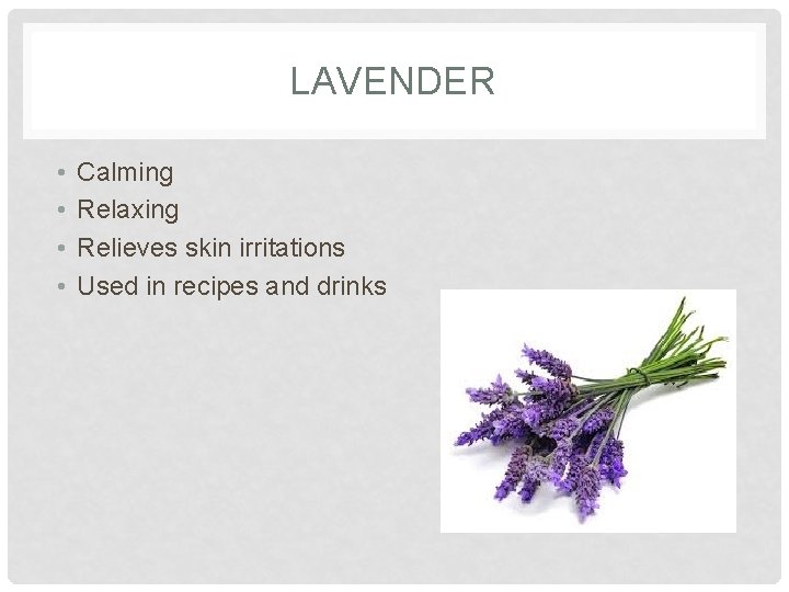 LAVENDER • • Calming Relaxing Relieves skin irritations Used in recipes and drinks 