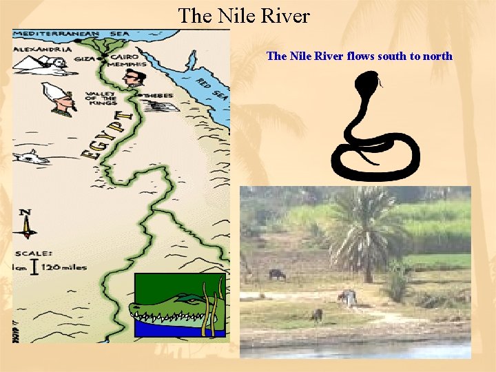 The Nile River flows south to north 