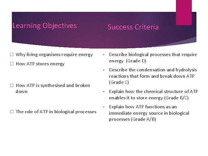 Learning Objectives � Why living organisms require energy � How ATP stores energy �