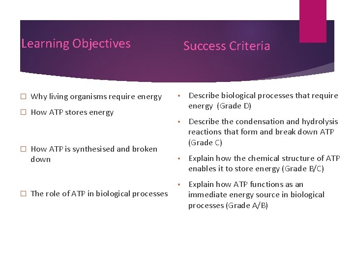 Learning Objectives � Why living organisms require energy � How ATP stores energy �
