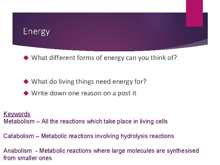 Energy What different forms of energy can you think of? What do living things