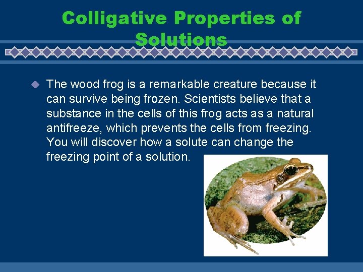 16. 3 u Colligative Properties of Solutions The wood frog is a remarkable creature