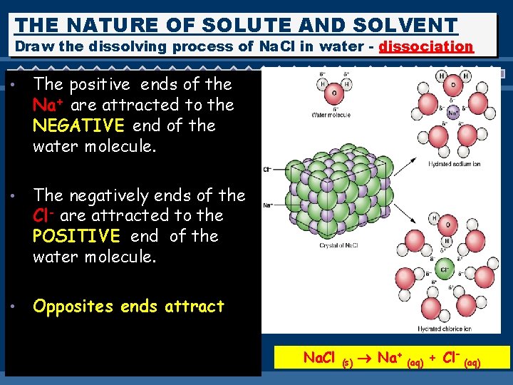 THE NATURE OF SOLUTE AND SOLVENT Draw the dissolving process of Na. Cl in
