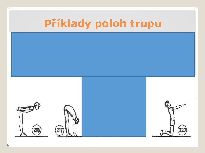 Příklady poloh trupu 