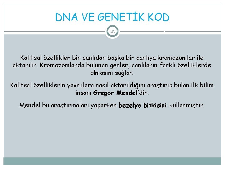 DNA VE GENETİK KOD 27 Kalıtsal özellikler bir canlıdan başka bir canlıya kromozomlar ile