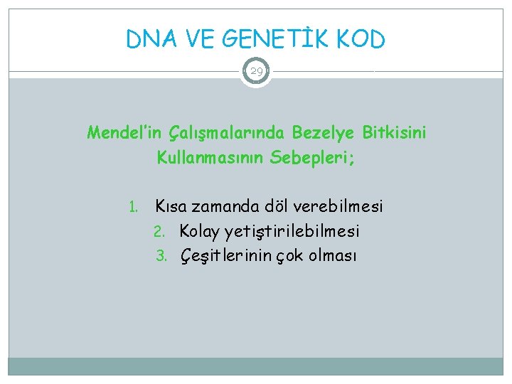 DNA VE GENETİK KOD 29 Mendel’in Çalışmalarında Bezelye Bitkisini Kullanmasının Sebepleri; 1. Kısa zamanda