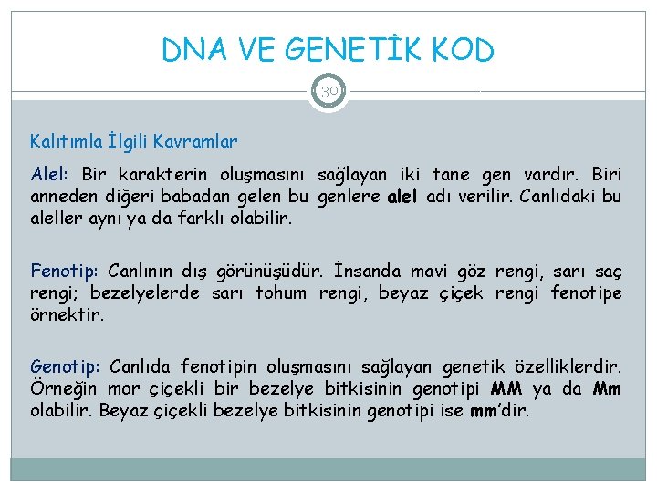 DNA VE GENETİK KOD 30 Kalıtımla İlgili Kavramlar Alel: Bir karakterin oluşmasını sağlayan iki