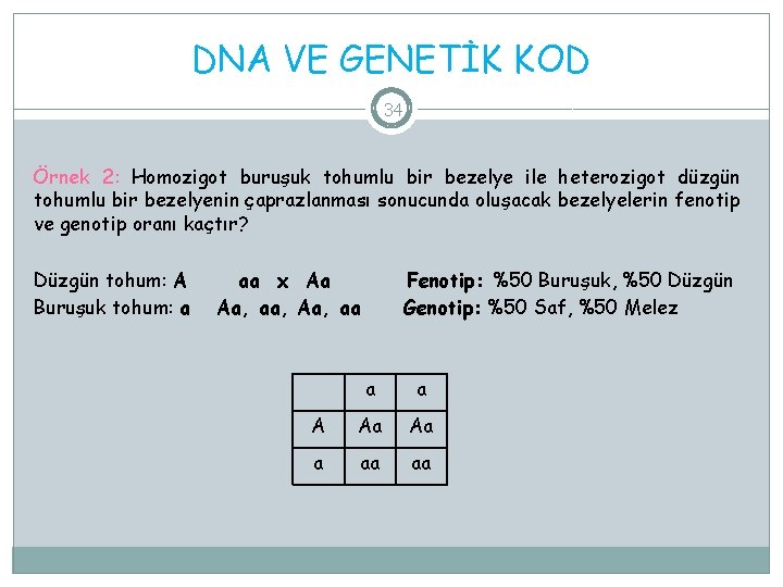 DNA VE GENETİK KOD 34 Örnek 2: Homozigot buruşuk tohumlu bir bezelye ile heterozigot