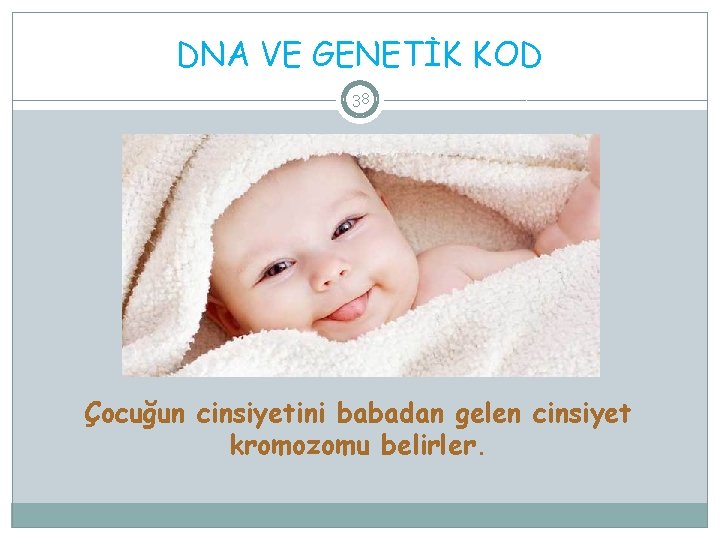 DNA VE GENETİK KOD 38 Çocuğun cinsiyetini babadan gelen cinsiyet kromozomu belirler. 