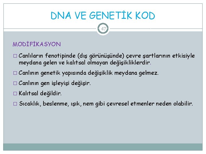 DNA VE GENETİK KOD 47 MODİFİKASYON � Canlıların fenotipinde (dış görünüşünde) çevre şartlarının etkisiyle