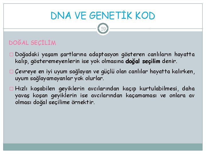 DNA VE GENETİK KOD 59 DOĞAL SEÇİLİM � Doğadaki yaşam şartlarına adaptasyon gösteren canlıların