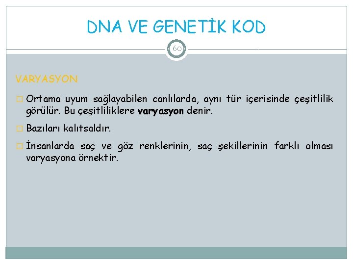 DNA VE GENETİK KOD 60 VARYASYON � Ortama uyum sağlayabilen canlılarda, aynı tür içerisinde