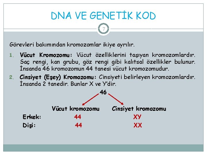 DNA VE GENETİK KOD 7 Görevleri bakımından kromozomlar ikiye ayrılır. Vücut Kromozomu: Vücut özelliklerini