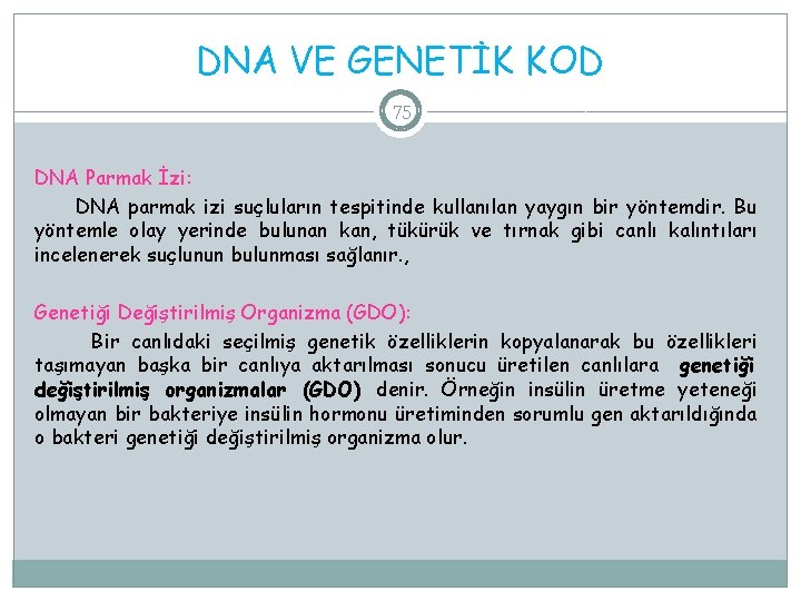 DNA VE GENETİK KOD 75 DNA Parmak İzi: DNA parmak izi suçluların tespitinde kullanılan