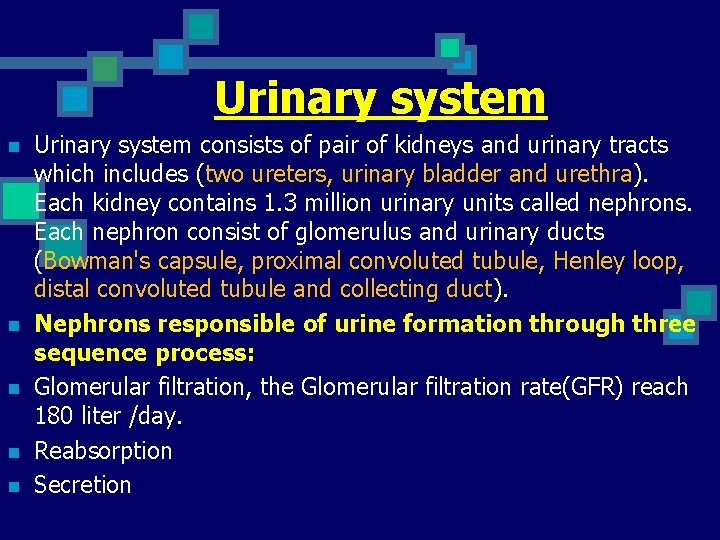 Urinary system n n n Urinary system consists of pair of kidneys and urinary