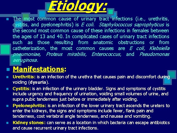 Etiology: n The most common cause of urinary tract infections (i. e. , urethritis,