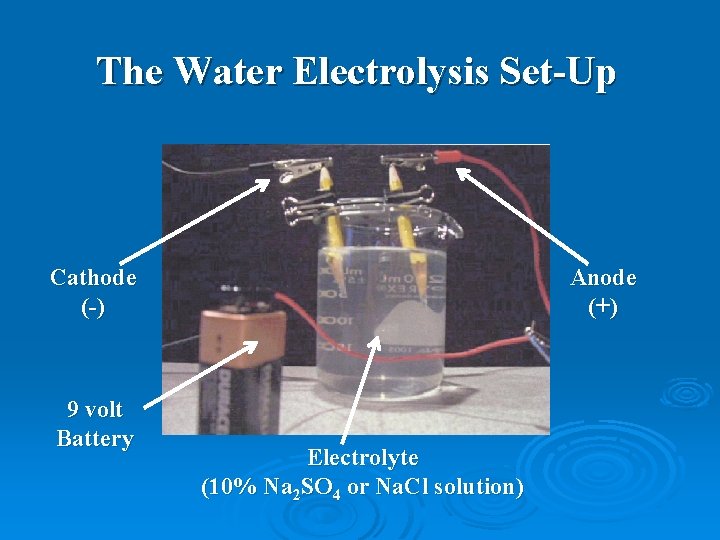 The Water Electrolysis Set-Up Cathode (-) 9 volt Battery Anode (+) Electrolyte (10% Na