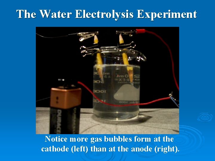 The Water Electrolysis Experiment Notice more gas bubbles form at the cathode (left) than