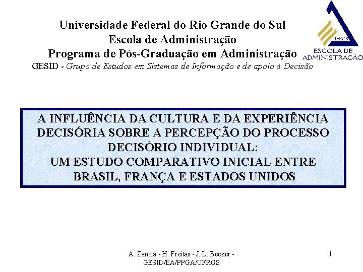 Universidade Federal do Rio Grande do Sul Escola de Administração Programa de Pós-Graduação em