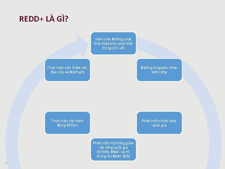 REDD+ LÀ GÌ? Tính toán đường phát thải (dựa trên phát thải trong lịch