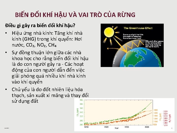 BIẾN ĐỔI KHÍ HẬU VÀ VAI TRÒ CỦA RỪNG Điều gì gây ra biến