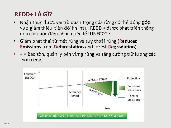 REDD+ LÀ GÌ? • Nhận thức được vai trò quan trọng của rừng có REDD+ LÀ GÌ? • Nhận thức được vai trò quan trọng của rừng có
