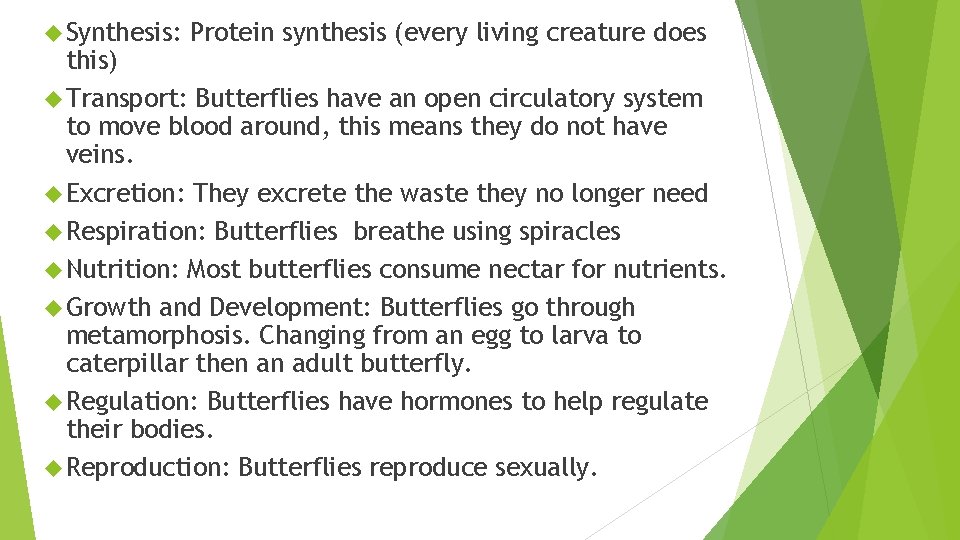  Synthesis: Protein synthesis (every living creature does this) Transport: Butterflies have an open