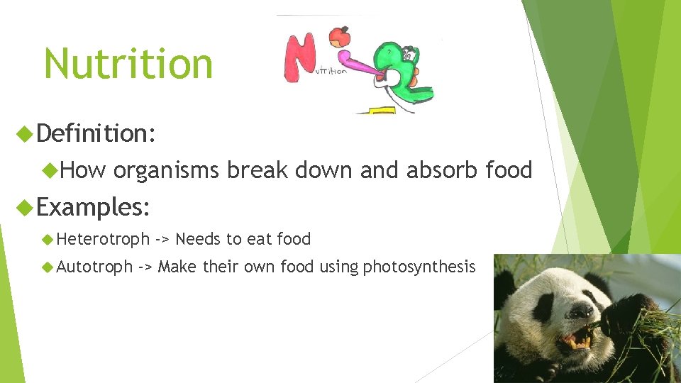 Nutrition Definition: How organisms break down and absorb food Examples: Heterotroph Autotroph -> Needs