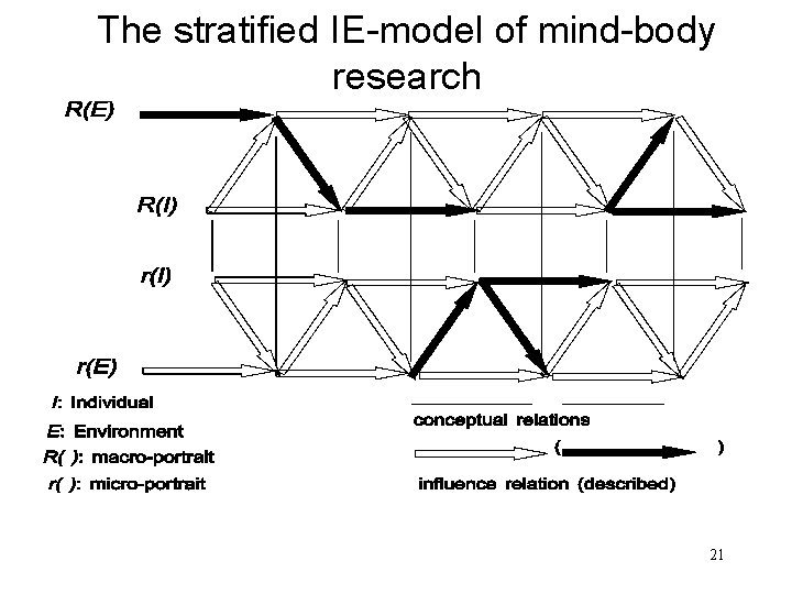 The stratified IE-model of mind-body research 21 The stratified IE-model of mind-body research 21