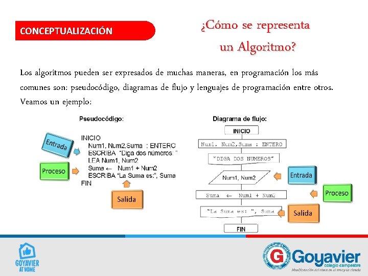 CONCEPTUALIZACIÓN ¿Cómo se representa un Algoritmo? Los algoritmos pueden ser expresados de muchas maneras,