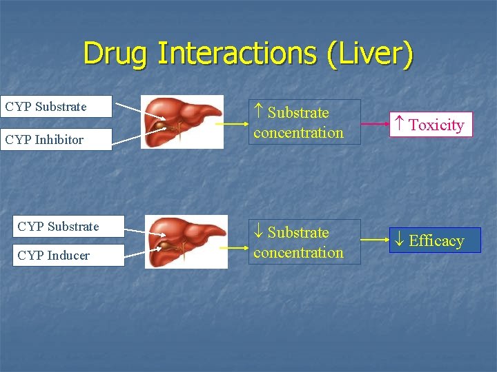 Drug Interactions (Liver) CYP Substrate CYP Inhibitor CYP Substrate CYP Inducer Substrate concentration Toxicity