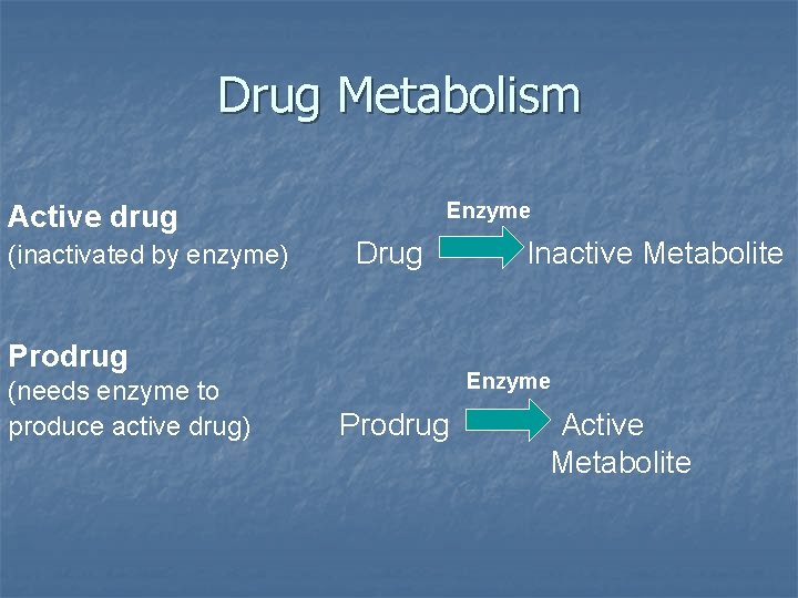 Drug Metabolism Enzyme Active drug (inactivated by enzyme) Drug Prodrug (needs enzyme to produce