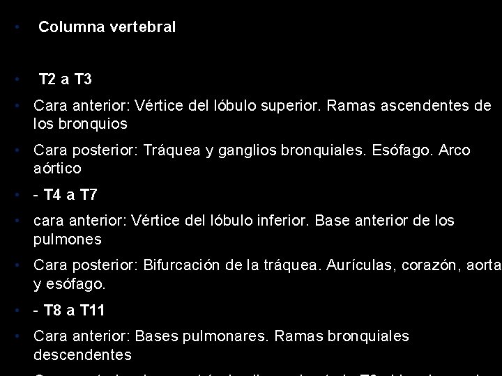  • Columna vertebral • T 2 a T 3 • Cara anterior: Vértice