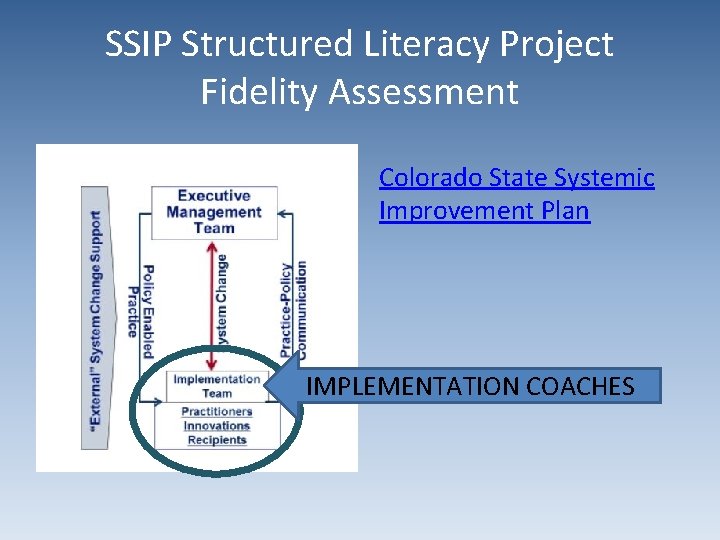 SSIP Structured Literacy Project Fidelity Assessment Colorado State Systemic Improvement Plan IMPLEMENTATION COACHES 