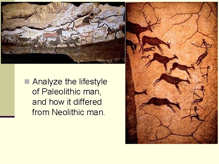 n Analyze the lifestyle of Paleolithic man, and how it differed from Neolithic man.